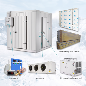 Lắp Đặt Kho Lạnh Công Nghiệp Trọn Gói