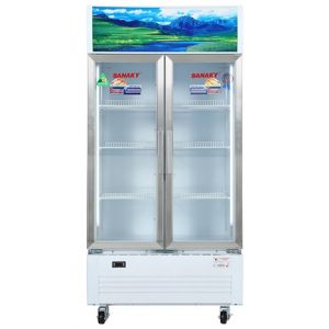 tu-mat-2-canh-sanaky-500-lit-vh-6009hp-giai-phap-bao-quan-cong-nghiep-hien-dai